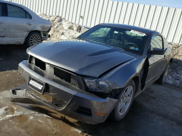 1ZVBP8AN2A5145961 - 2010 FORD MUSTANG GRAY photo 2
