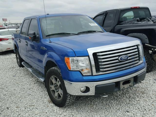 1FTFW1EV3AFC19181 - 2010 FORD F150 SUPER BLUE photo 1