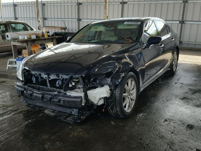 JTHBL46FX95085298 - 2009 LEXUS LS 460 BLUE photo 2