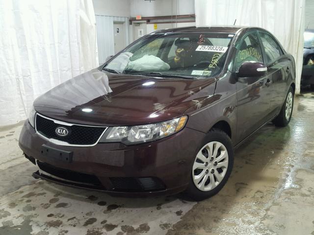 KNAFU4A27A5227211 - 2010 KIA FORTE EX RED photo 2