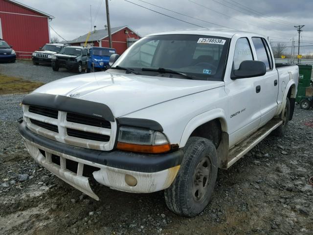 1B7HG38N12S530582 - 2002 DODGE DAKOTA QUA WHITE photo 2