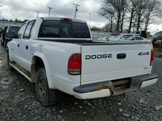 1B7HG38N12S530582 - 2002 DODGE DAKOTA QUA WHITE photo 3