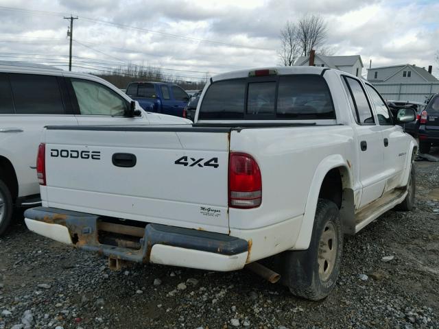 1B7HG38N12S530582 - 2002 DODGE DAKOTA QUA WHITE photo 4