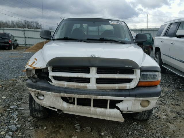 1B7HG38N12S530582 - 2002 DODGE DAKOTA QUA WHITE photo 9