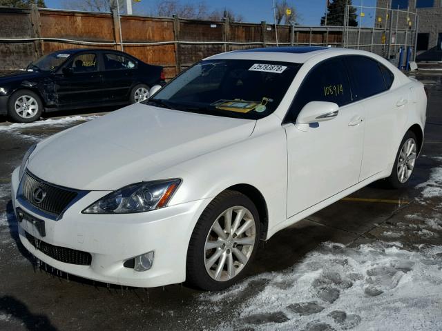 JTHCF5C27A5041654 - 2010 LEXUS IS 250 WHITE photo 2