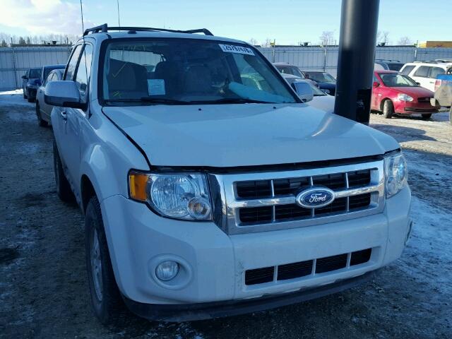 1FMCU0D76AKC80775 - 2010 FORD ESCAPE XLT WHITE photo 1