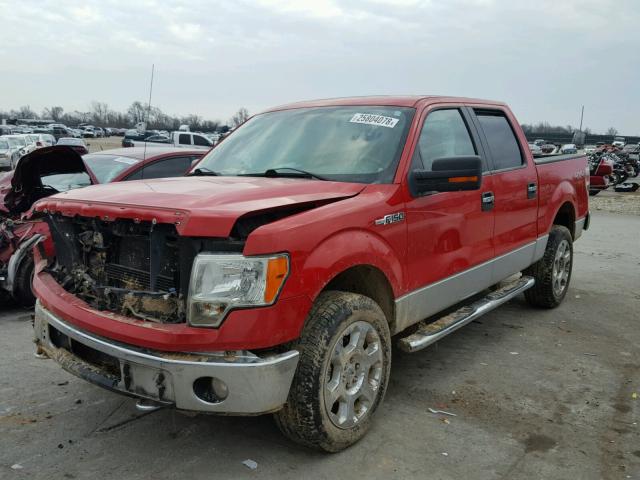 1FTFW1EV2AFC27806 - 2010 FORD F150 SUPER RED photo 2