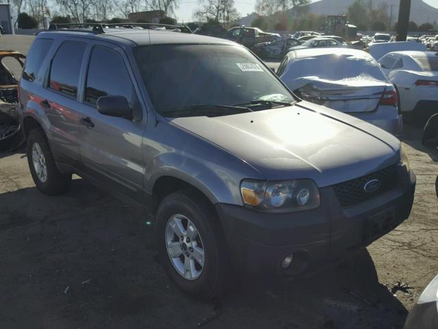 1FMYU03197KB96557 - 2007 FORD ESCAPE XLT GRAY photo 1