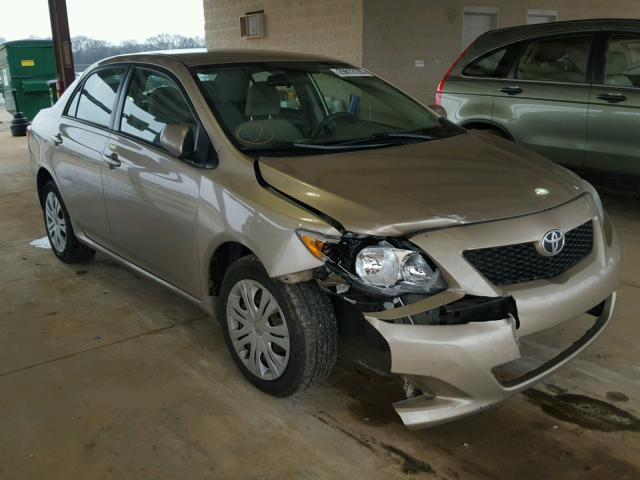 2T1BU40E49C107670 - 2009 TOYOTA COROLLA BA GOLD photo 1