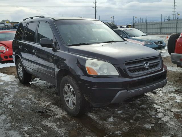 2HKYF18515H560160 - 2005 HONDA PILOT EXL BLACK photo 1