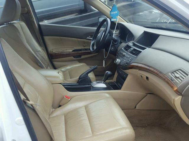 1HGCP3F89AA016864 - 2010 HONDA ACCORD EXL WHITE photo 5