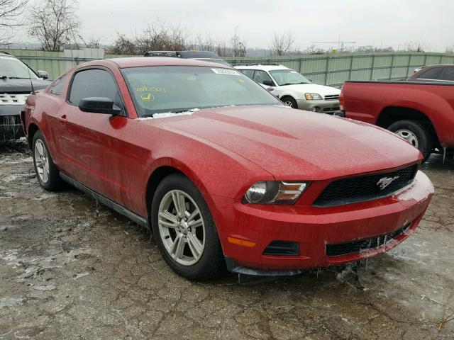 1ZVBP8AN6A5101509 - 2010 FORD MUSTANG RED photo 1