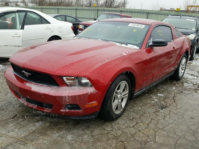 1ZVBP8AN6A5101509 - 2010 FORD MUSTANG RED photo 2