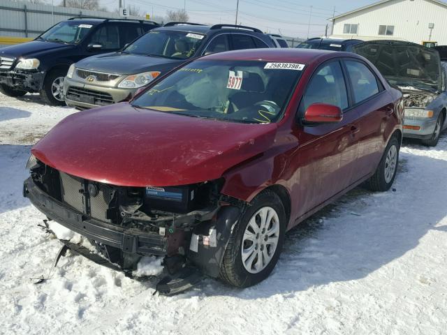 KNAFU4A21C5511081 - 2012 KIA FORTE EX RED photo 2