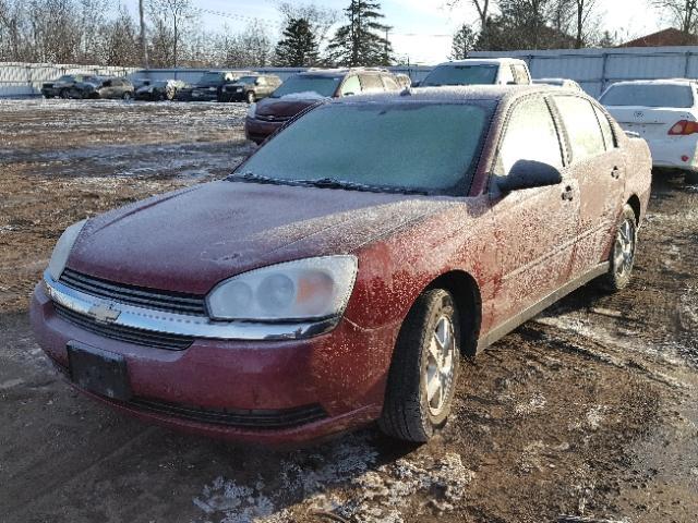 1G1ZT54825F286748 - 2005 CHEVROLET MALIBU LS მუქწითელი ფოტო 2