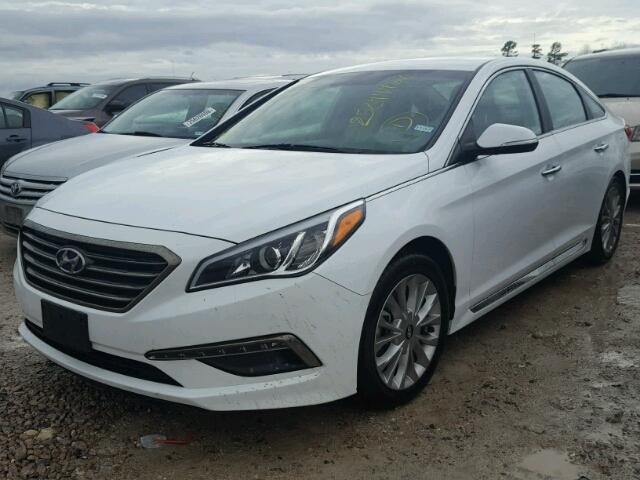 5NPE34AF8FH016871 - 2015 HYUNDAI SONATA SPO WHITE photo 2