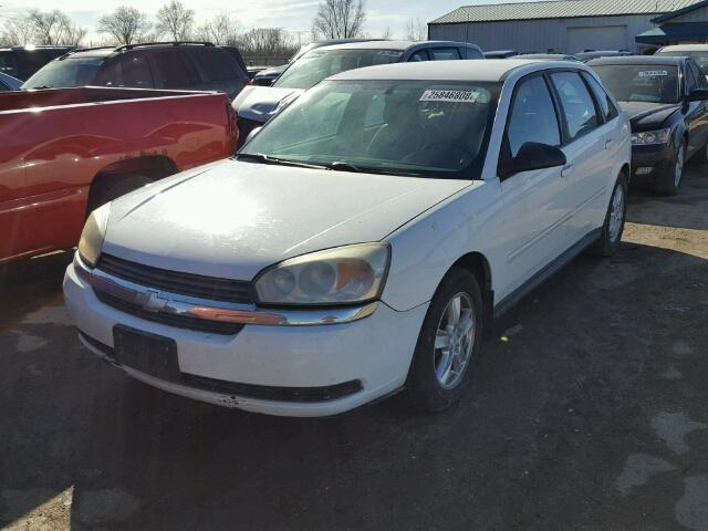 1G1ZT62855F295050 - 2005 CHEVROLET MALIBU MAX WHITE photo 2