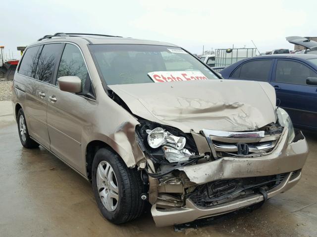 5FNRL38686B419541 - 2006 HONDA ODYSSEY EX GOLD photo 1