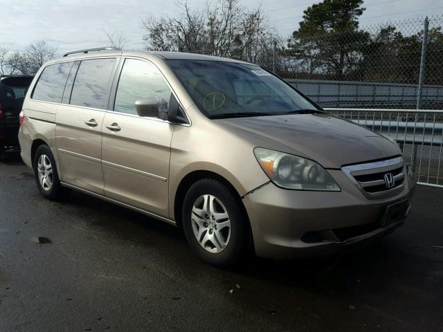 5FNRL38785B013623 - 2005 HONDA ODYSSEY EX BEIGE photo 1