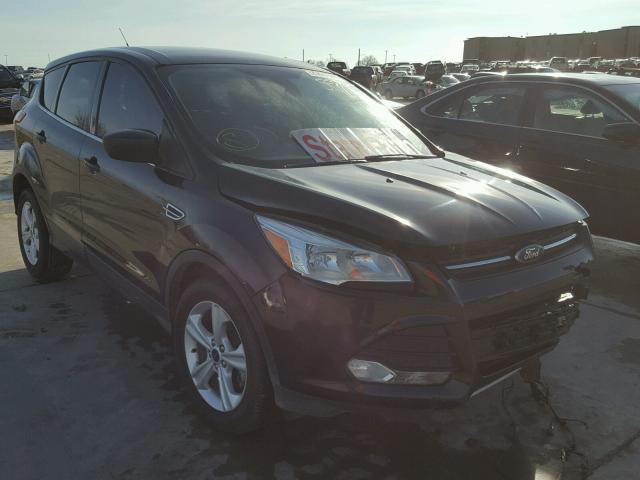 1FMCU0GX1EUA63916 - 2014 FORD ESCAPE SE BLACK photo 1