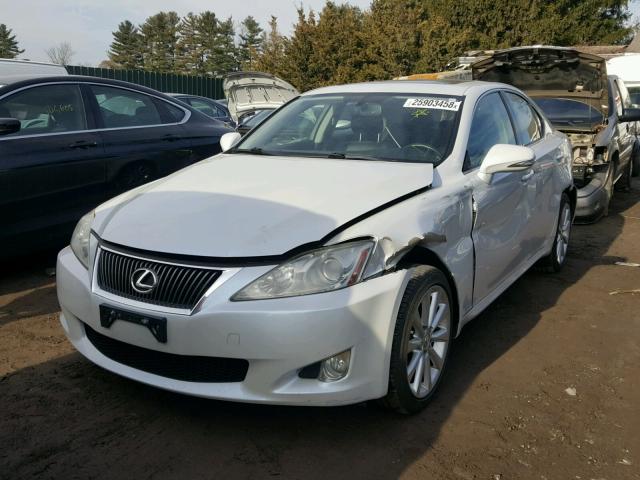 JTHCF5C27A5041038 - 2010 LEXUS IS 250 WHITE photo 2