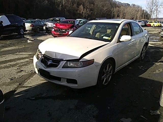 JH4CL96814C017091 - 2004 ACURA TSX WHITE photo 2