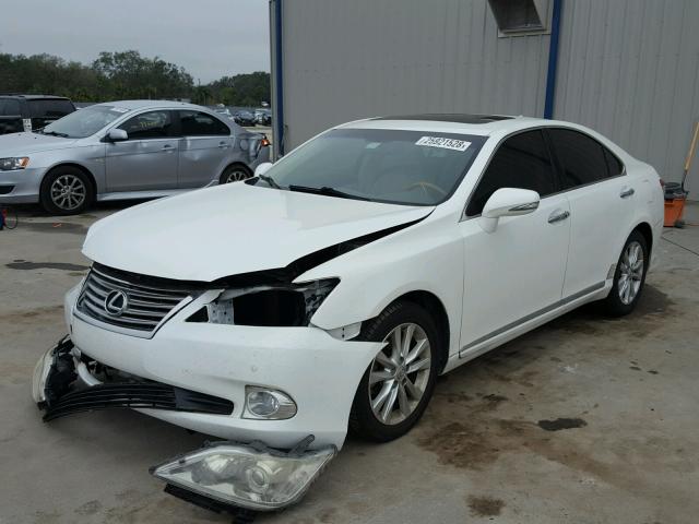 JTHBK1EGXA2396389 - 2010 LEXUS ES 350 WHITE photo 2