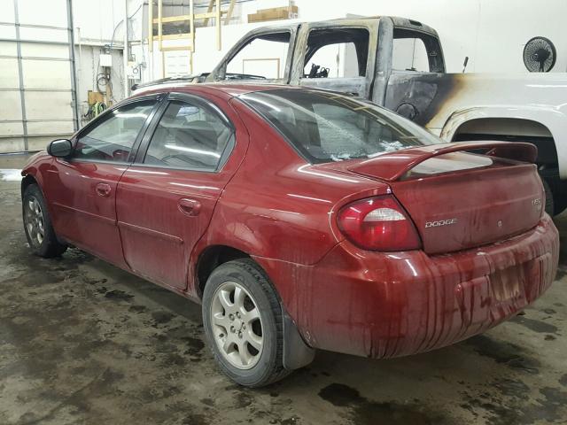 1B3ES56C73D201794 - 2003 DODGE NEON SXT ORANGE photo 3