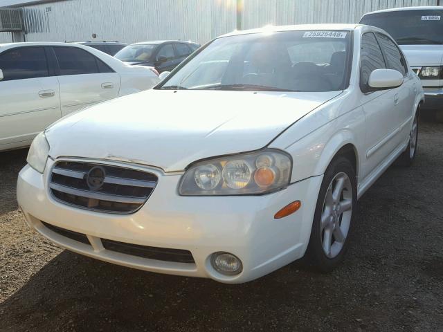 JN1DA31D73T519439 - 2003 NISSAN MAXIMA GLE WHITE photo 2