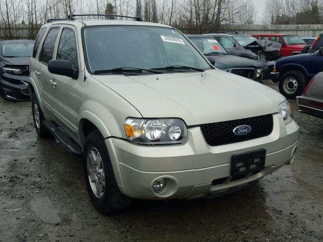 1FMCU94145KD42423 - 2005 FORD ESCAPE LIM GOLD photo 1