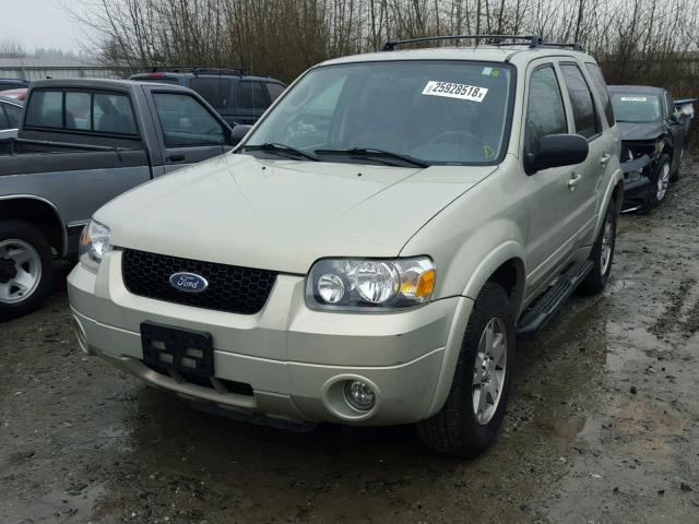 1FMCU94145KD42423 - 2005 FORD ESCAPE LIM GOLD photo 2