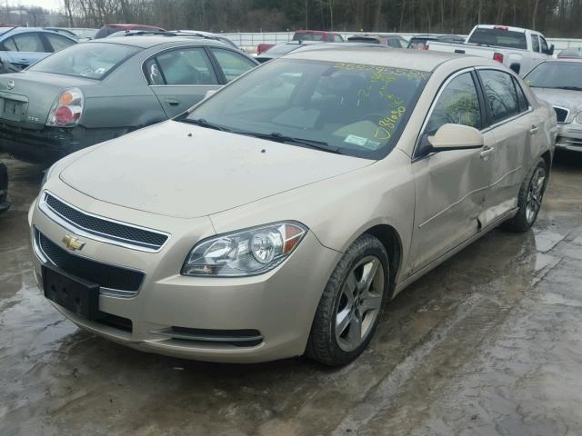 1G1ZH57B594207342 - 2009 CHEVROLET MALIBU 1LT GOLD photo 2