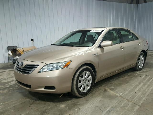 4T1BB46K79U107101 - 2009 TOYOTA CAMRY HYBR GOLD photo 2