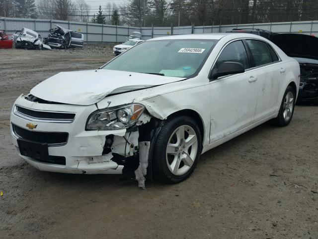 1G1ZB5E15BF261276 - 2011 CHEVROLET MALIBU LS თეთრი ფოტო 2