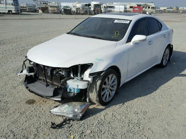 JTHBF5C26A2096951 - 2010 LEXUS IS 250 WHITE photo 2