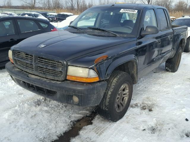 1D7HG38X83S111301 - 2003 DODGE DAKOTA QUA BLACK photo 2