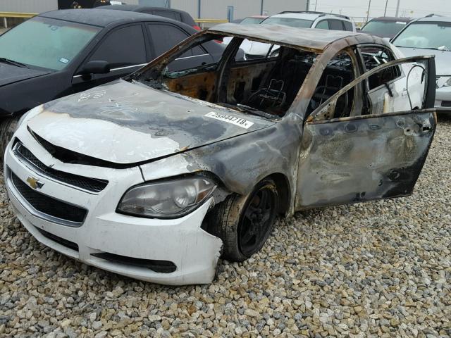 1G1ZA5EU0CF398544 - 2012 CHEVROLET MALIBU LS 白色 照片 2