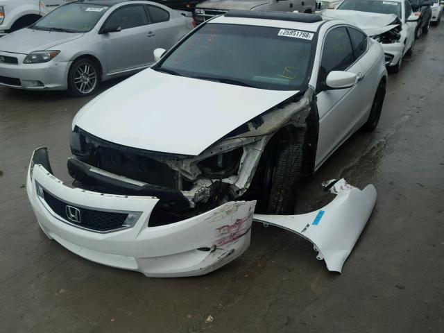 1HGCS22808A007060 - 2008 HONDA ACCORD EXL WHITE photo 2