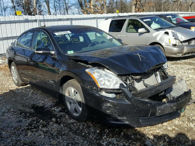 1N4CL2AP0AC106885 - 2010 NISSAN ALTIMA HYB BLACK photo 1