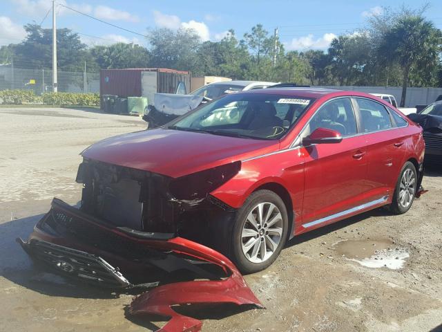 5NPE34AF6FH227969 - 2015 HYUNDAI SONATA SPO RED photo 2