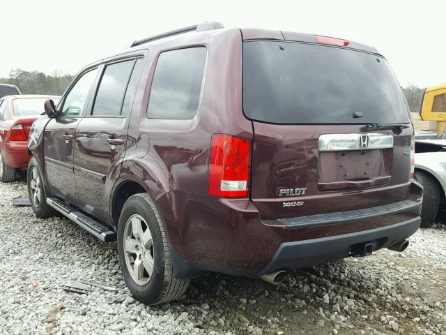 5FNYF3H71BB048342 - 2011 HONDA PILOT EXLN PURPLE photo 3