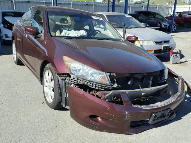 5KBCP3F85AB012320 - 2010 HONDA ACCORD EXL MAROON photo 1