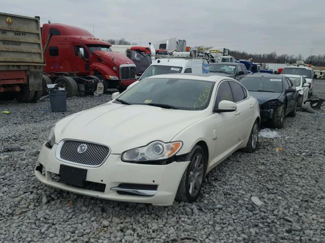 SAJWA05B99HR10621 - 2009 JAGUAR XF LUXURY WHITE photo 2