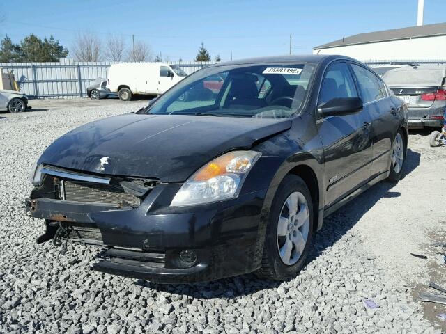 1N4CL21E28C142893 - 2008 NISSAN ALTIMA HYB BLACK photo 2