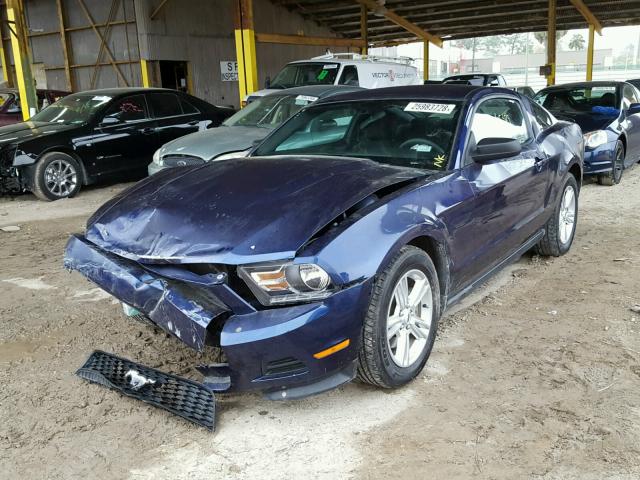 1ZVBP8AM2C5269092 - 2012 FORD MUSTANG BLUE photo 2