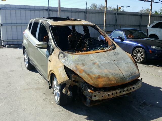 1FMCU0HX1DUB78044 - 2013 FORD ESCAPE SEL BURN photo 1