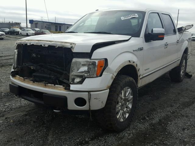 1FTFW1ET1CFC68297 - 2012 FORD F150 SUPER WHITE photo 2