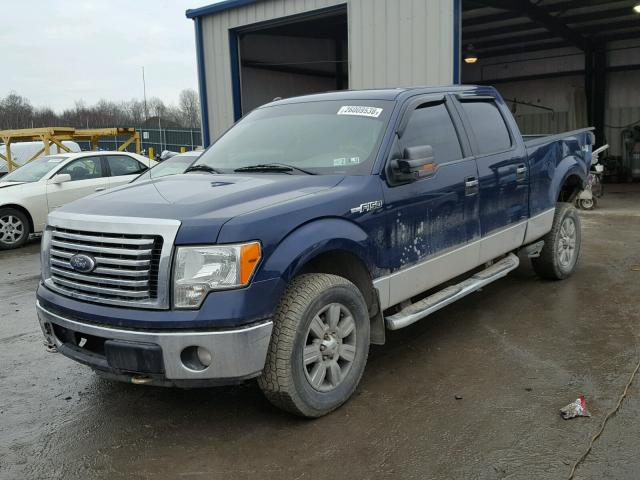 1FTFW1EV2AFD00964 - 2010 FORD F150 SUPER BLUE photo 2