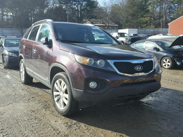 5XYKUDA16BG085807 - 2011 KIA SORENTO EX MAROON photo 1