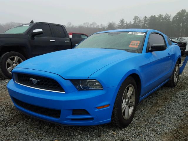 1ZVBP8AM3D5205595 - 2013 FORD MUSTANG BLUE photo 2